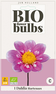 X 1 BIO DAHLIA HARTENAAS I
