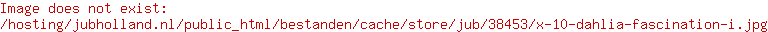 X 10 DAHLIA FASCINATION I