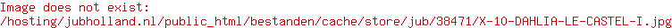 X 10 DAHLIA LE CASTEL I