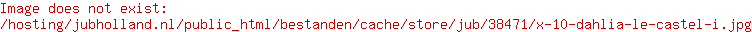 X 10 DAHLIA LE CASTEL I