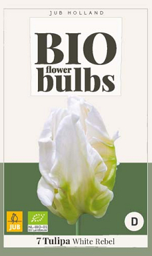 X   7 TULIPA WHITE REBEL - BIO 11/+