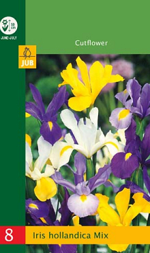 X   8 IRIS HOLLANDICA MIX 6/7