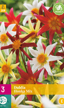 X 3 DAHLIA HONKA MIX I