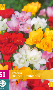 X 50 FREESIA DUBBEL MIX 5/+
