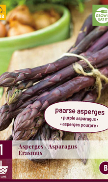 X 1 ASPARAGUS / ASPERGES ERASMUS I