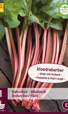 Rheum x hybridum 'Red Champagne', Rhubarb 'Red Champagne' in GardenTags  plant encyclopedia
