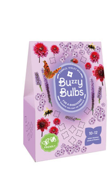 X 1 TAS 10 BUZZY BULBS PURPLE-VIOLET MIX I