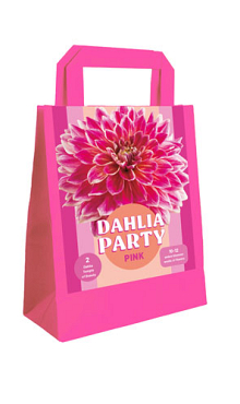 X 1 TAS 2 DAHLIA PARTY PINK I