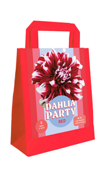 X 1 TAS 2 DAHLIA PARTY RED I
