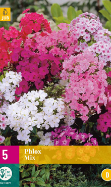 X 5 PHLOX MIX I