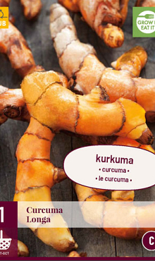 X 1 CURCUMA LONGA I