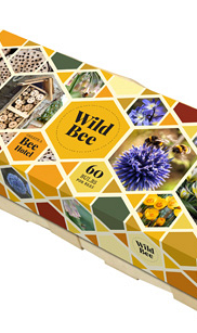 X 1 WILD BEE HOTEL I