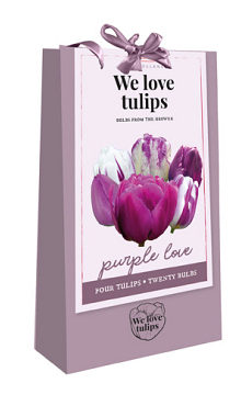 X 1 TAS 20 TULIPA 'WE LOVE TULIPS' PURPLE LOVE 11/12