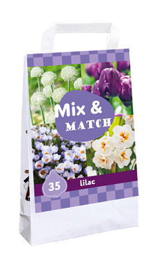 X 1 TAS 35 MIX & MATCH LILAC I