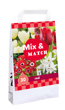X 1 TAS 30 MIX & MATCH RED I
