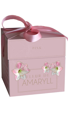 X 1 DOOSJE FLEUR D'AMARYLL PINK 28/30