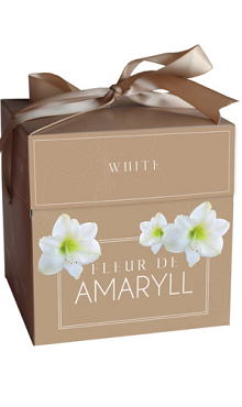 X 1 DOOSJE FLEUR D'AMARYLL WHITE 28/30
