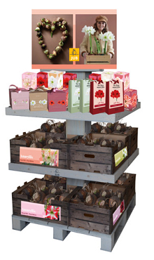 EILAND DISPLAY AMARYLLIS I