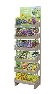 DISPLAY BULBS FOR BEES I