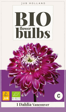 X 1 BIO DAHLIA VANCOUVER I