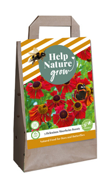 X 1 TAS 3 HELENIUM MOERHEIM BEAUTY - HELP NATURE GROW I