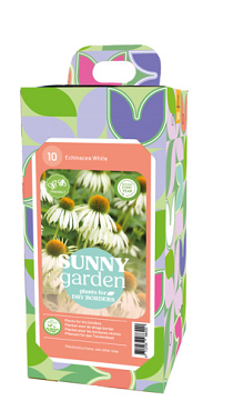 X 1 BOX SUNNY GARDEN 10 ECHINACEA WHITE I