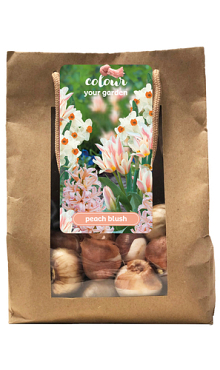 X 1 TAS 25 COLOUR YOUR GARDEN PEACH BLUSH I