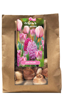 X 1 TAS 25 COLOUR YOUR GARDEN PINK BLUSH I