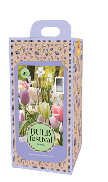 X 1 DOOS 30 BULB FESTIVAL BIRTHDAY I