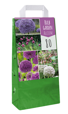 X  80 BULB GARDEN ALLIUM I