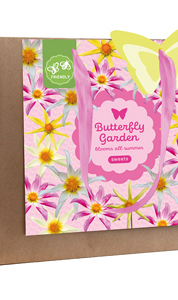 X 1 TAS 4 DAHLIA BUTTERFLY GARDEN - HONEY I