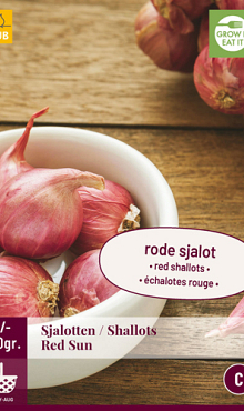 X 250 gr. SJALOTTEN RED SUN 7/14