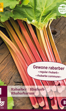 X 1 RHEUM / RABARBER RHABARBARUM I