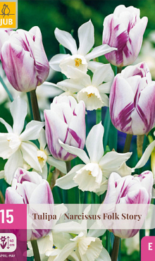 X 15 TULIPA / NARCISSUS FOLK STORY I