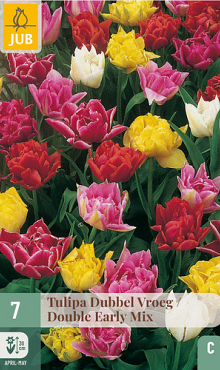 X   7 TULIPA DUBBEL VROEG MIX 11/12
