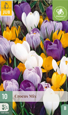 X 10 CROCUS GROOTBLOEMIG MIX 8/9