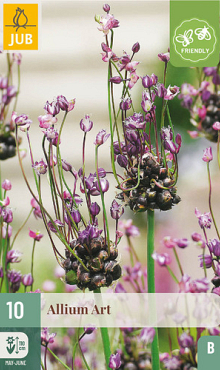 X 10 ALLIUM ART 5/+