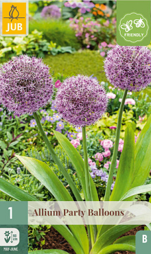 X   1 ALLIUM PARTY BALLOONS 16/18