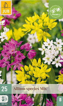 X 25 ALLIUM SPECIES MIX 4/5