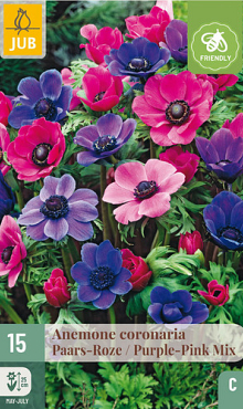 X 15 ANEMONE CORONARIA PAARS-ROZE MIX 5/6