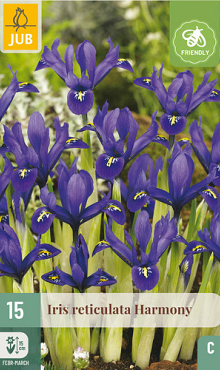 X 15 IRIS HARMONY 5/6