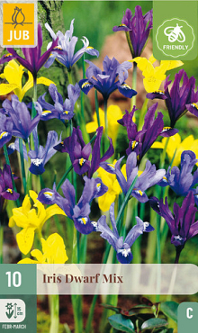 X 10 IRIS DWARF MIX 5/6