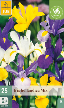 X 25 IRIS HOLLANDICA MIX NJ 7/8