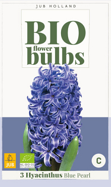 X   3 HYACINTHUS BLUE PEARL - BIO 14/+