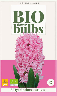 X   3 HYACINTHUS PINK PEARL - BIO 14/+
