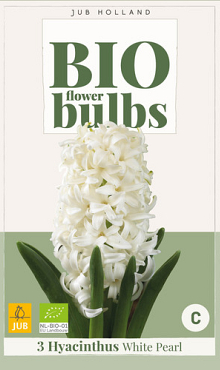 X   3 HYACINTHUS WHITE PEARL - BIO 14/+