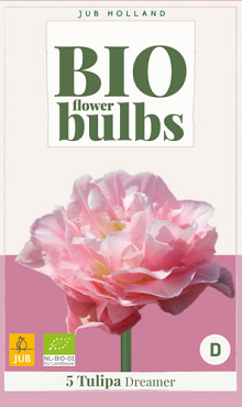X   5 TULIPA DREAMER - BIO 11/+