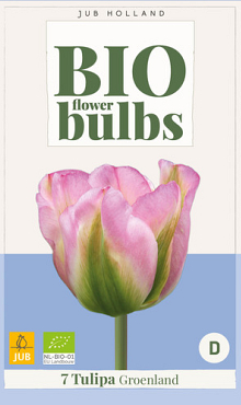 X   7 TULIPA GROENLAND - BIO 11/+