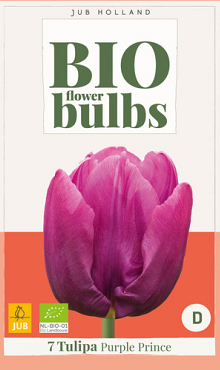 X   7 TULIPA PURPLE PRINCE - BIO 11/+
