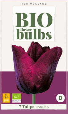 X   7 TULIPA RONALDO - BIO 11/+